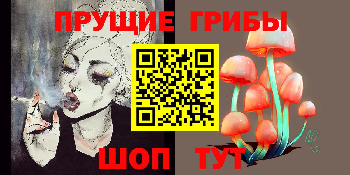 Псилоцибиновые грибы Psilocybe Кострома